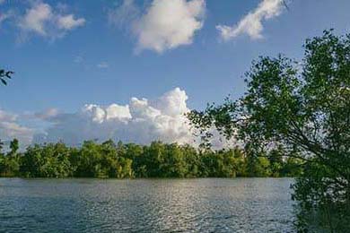 RNG团队配合日益默契，rng团队介绍